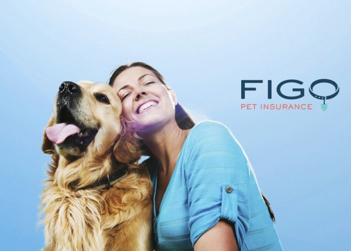 What Is Pet Health Insurance